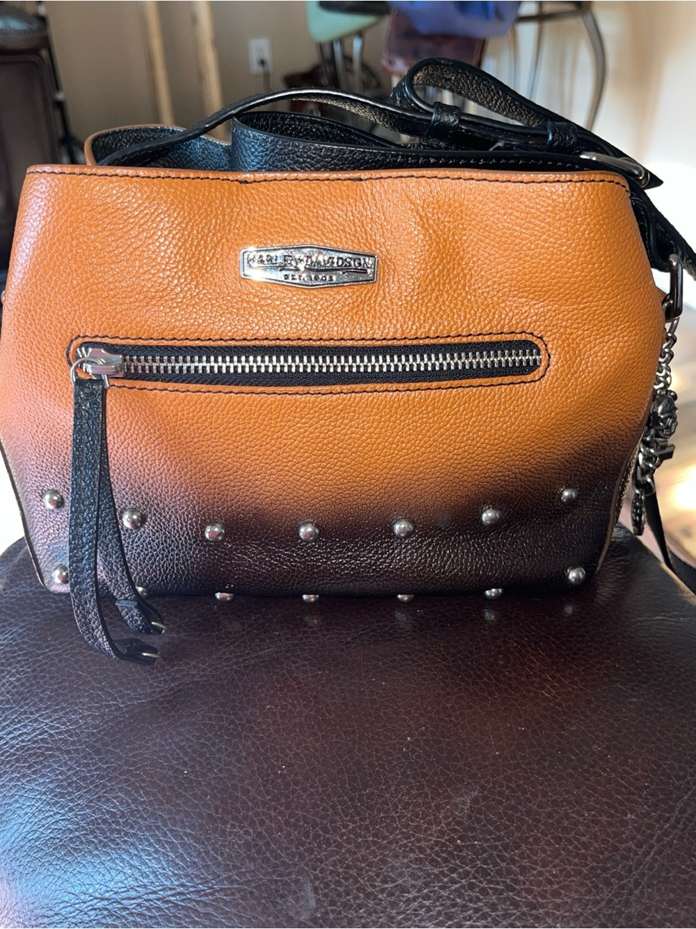 EUC Harley-Davidson Ombré Leather and Studded Crossbody